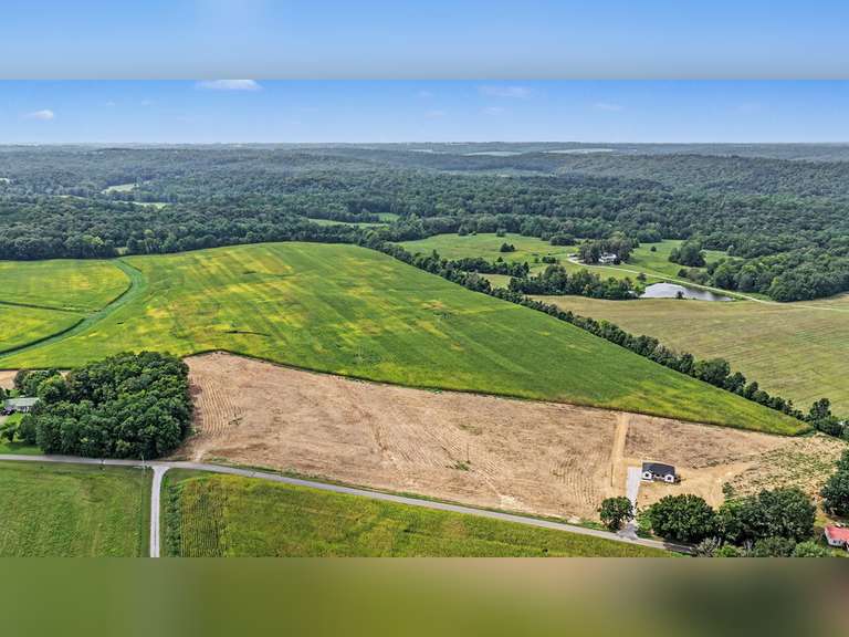 Tract 7: 41.43+/- Ac