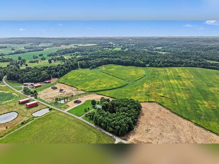 Tract 5: 29.12+/- Ac
