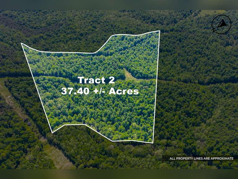 Tract 2: 37.40 Ac