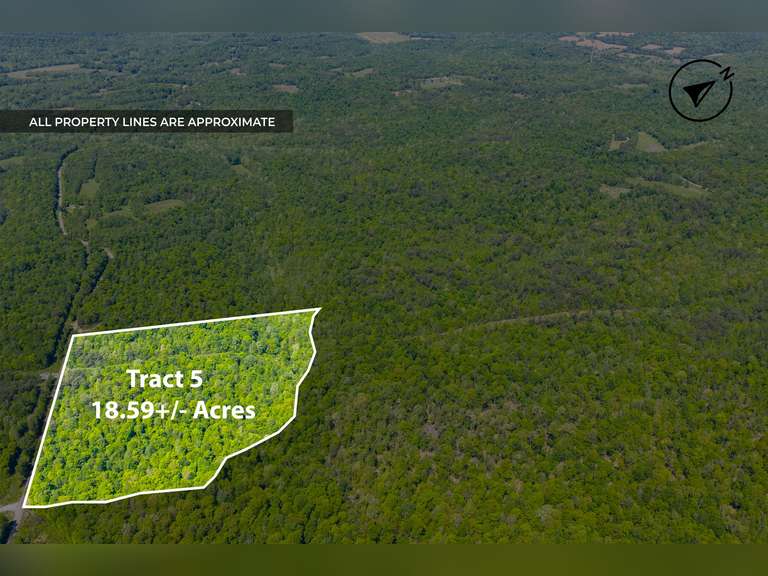 Tract 5: 18.59 Ac