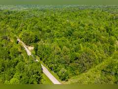 Tract 4: 138.98 Ac
