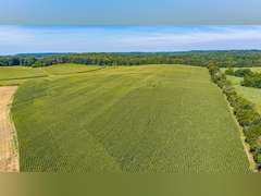 Tract 7: 41.43+/- Ac