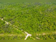 Tract 4: 138.98 Ac