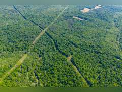 Tract 2: 37.40 Ac