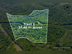 Tract 2: 37.40 Ac
