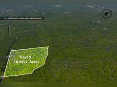 Tract 5: 18.59 Ac
