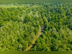 Tract 2: 37.40 Ac