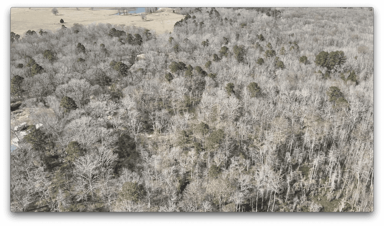 14.551+/- Acres on Caples Rd, West Monroe, LA