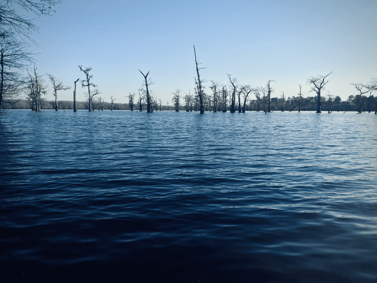 3,915.78± acres in Lasalle Parish, near Jena, LA