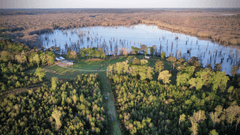 3,915.78± acres in Lasalle Parish, near Jena, LA