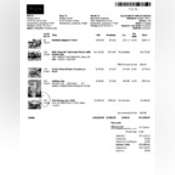 Thumbnail image of doc02500320250611154303.pdf