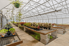 4.7± Acres Commercial Property in Laurel, MS