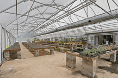 4.7± Acres Commercial Property in Laurel, MS