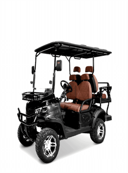 GOLF CART 2025