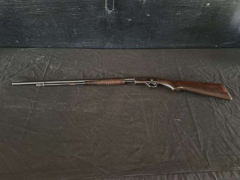 Savage Model 29 .22 SLLR