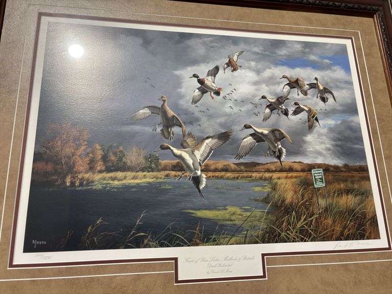 Picture, Fruits of Your Labor, mallards and pintails, Ducks Unlimited, by David A Maass