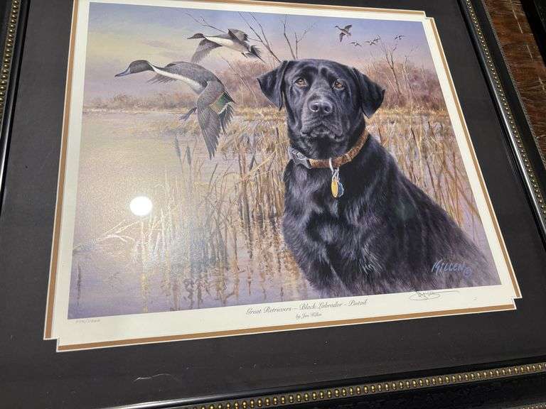 Picture, Great Retrievers, black Labrador, pintail by Jim Killen