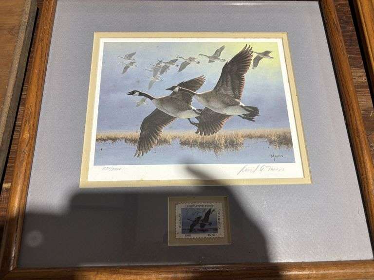Picture, geese, David A Maass, 1131/2400, wildlife legislative fund of America stamp