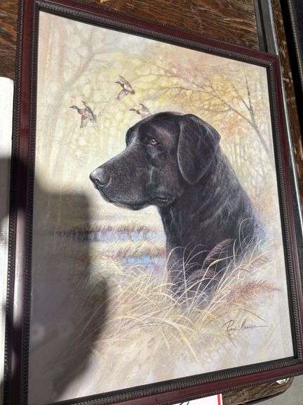 Picture camera, black Labrador, byRuane Manning
