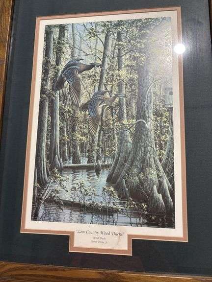 Picture, Low Country Wood Ducks, James Partee, Junior