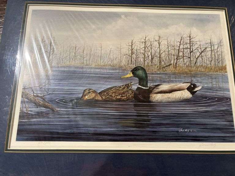 Picture, Ducks, Sarah Hasty 1988