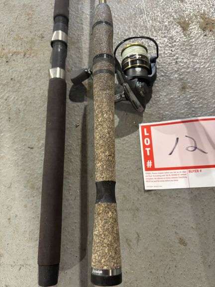 Fishing rod and reel