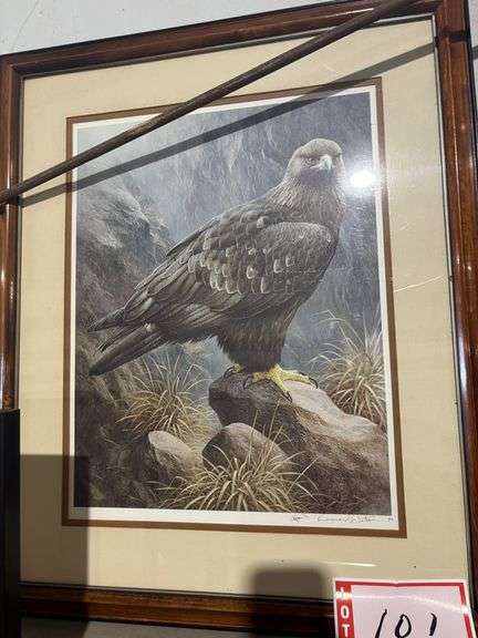 Eagle picture by Raymond Watson
