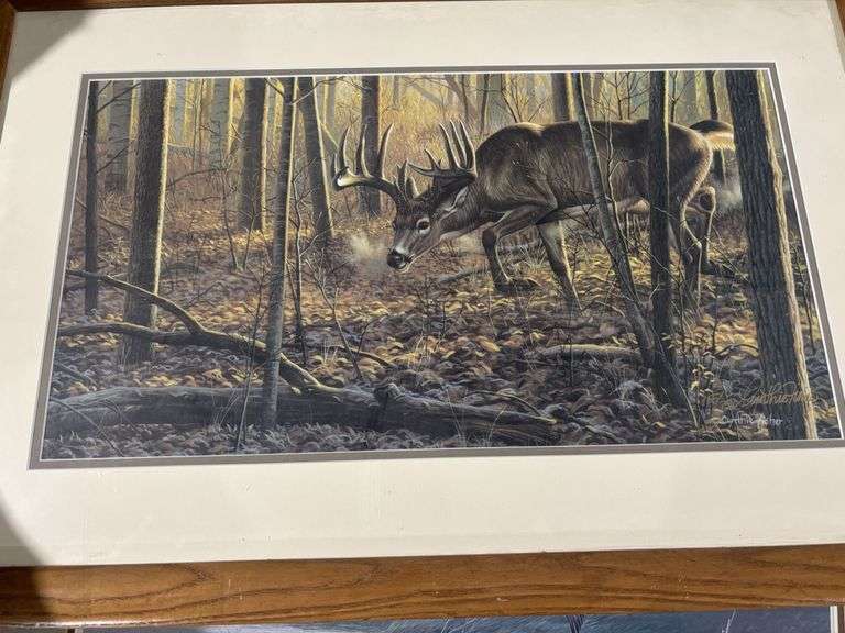 2 - Pictures, Deer and teal