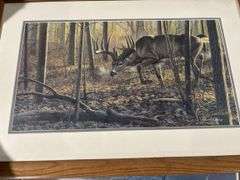 2 - Pictures, Deer and teal