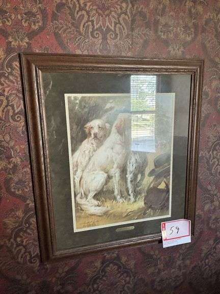English setter picture