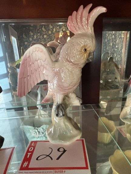 Brad Keeler Bird Cockatoo