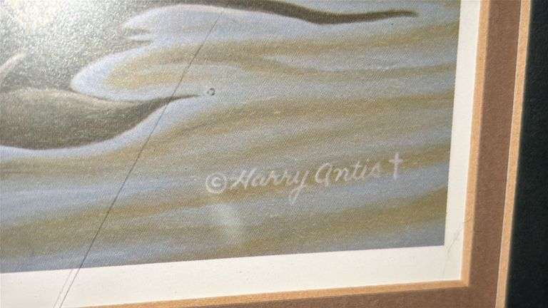 4 – duck prints