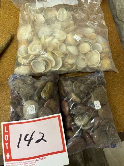 Seashells and polished stones