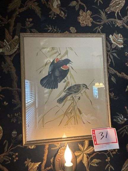 "In the Summer Breeze", Bird picture