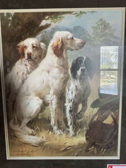 English setter picture