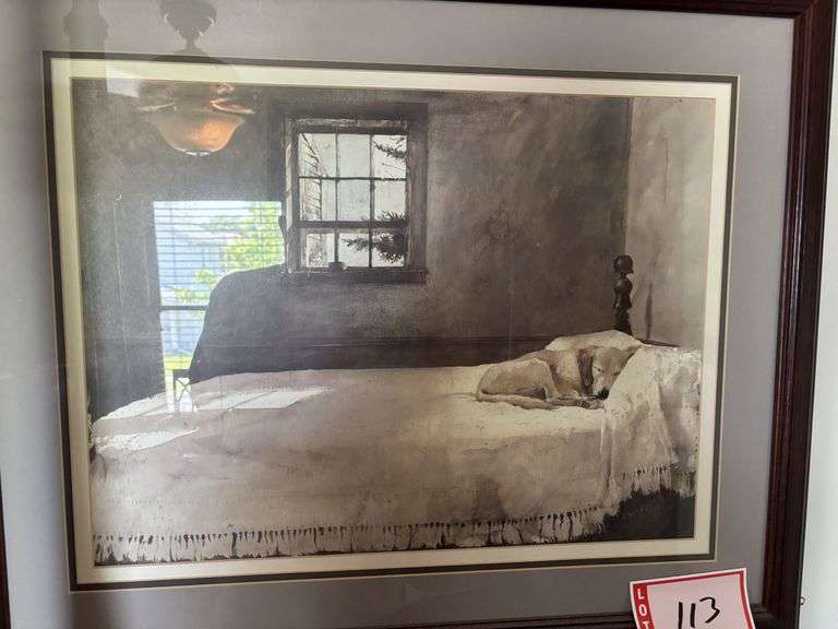 Dog on Bed picture