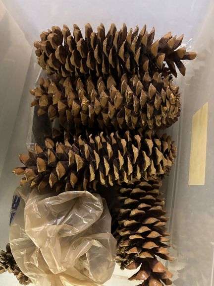 3 - totes and pinecones