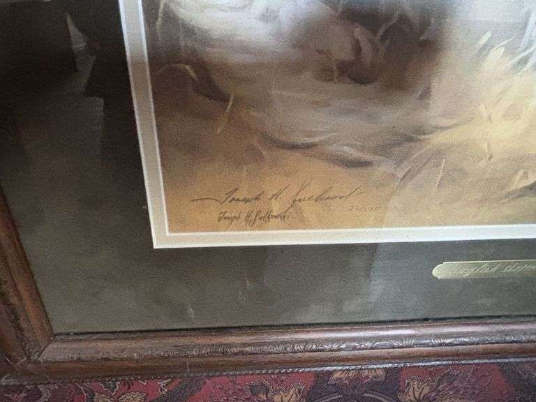 English setter picture