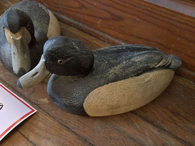 2 – bluebell, decoy, ducks