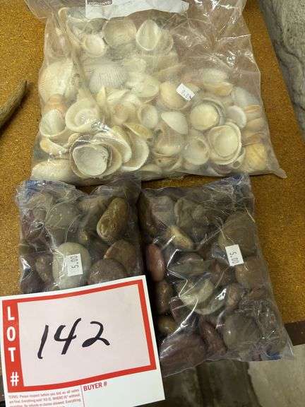 Seashells and polished stones