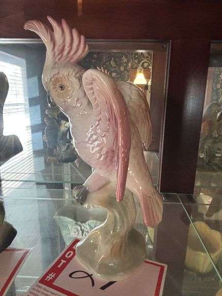 Brad Keeler Bird Cockatoo