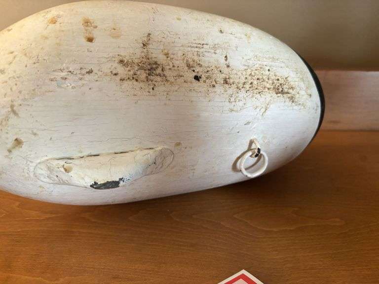 Duck decoy