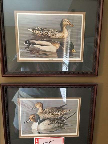 4 – duck prints