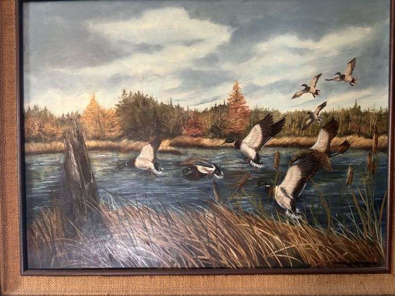 Mallard picture