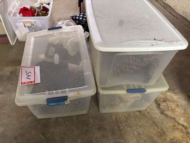 3 - totes and pinecones