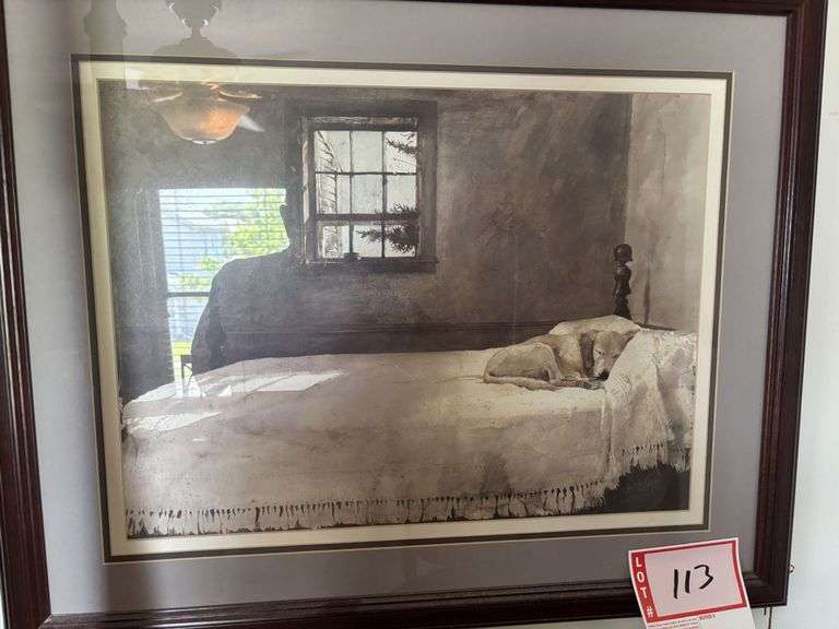 Dog on Bed picture