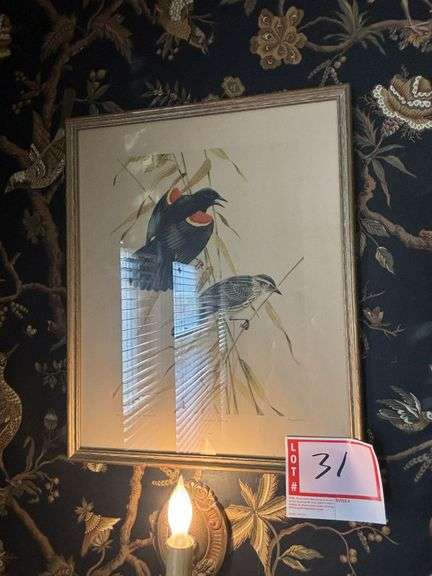 "In the Summer Breeze", Bird picture