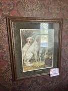 English setter picture