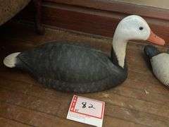 BJ goose decoy
