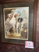 English setter picture